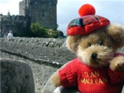 Bóng đá anh, ngoại hạng anh, lịch thi đấu euro 2012, Tổ chức tour du lịch cho thú nhồi bông